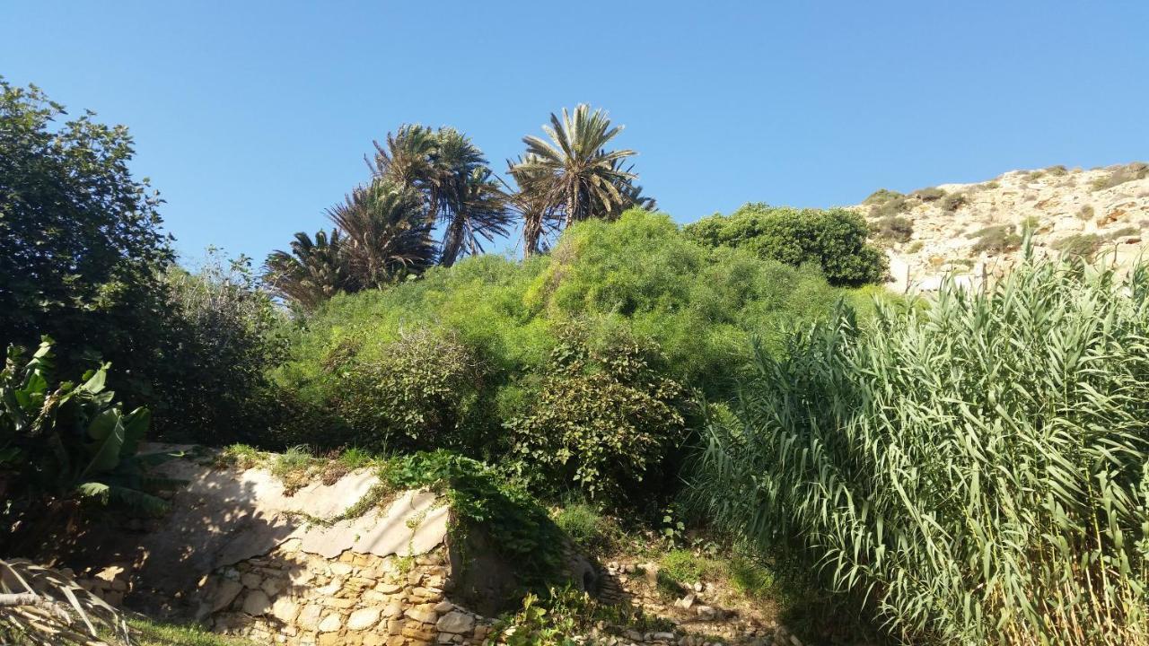 לינה וארוחת בוקר Tigmi Blue - Imsouane Surf Et Ocean מראה חיצוני תמונה