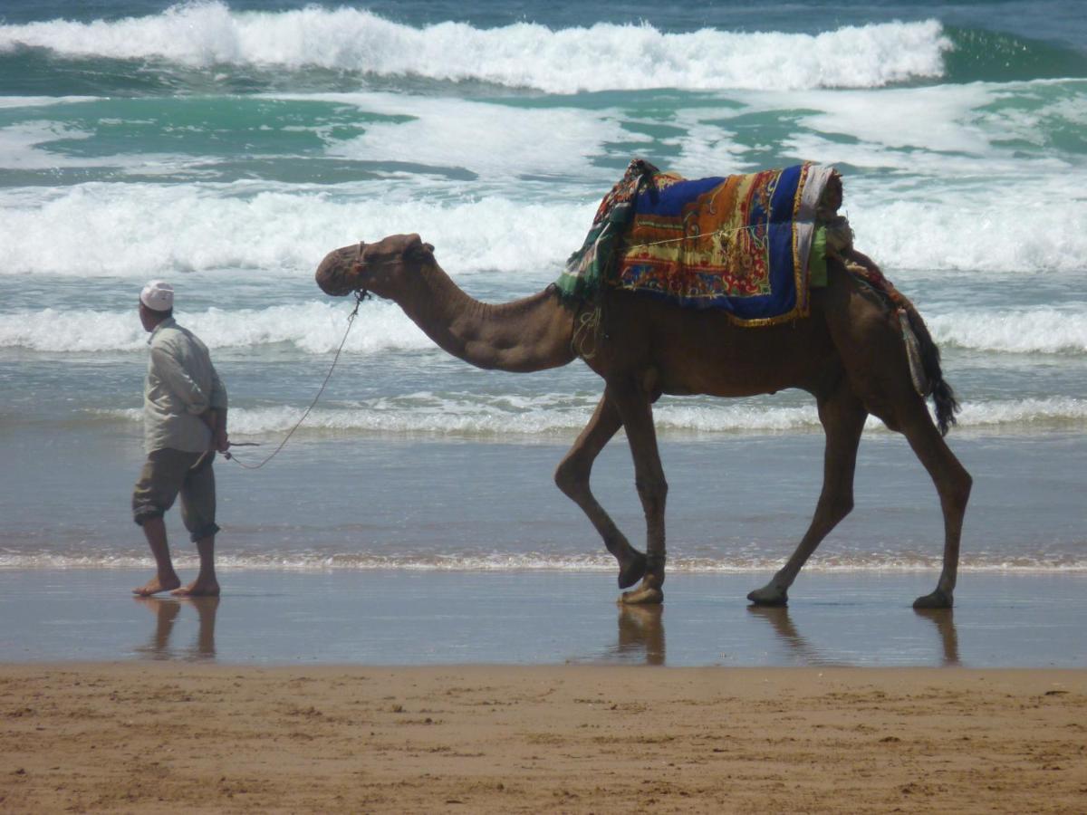 לינה וארוחת בוקר Tigmi Blue - Imsouane Surf Et Ocean מראה חיצוני תמונה